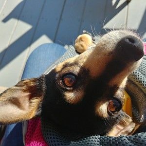 Meet your Posher, Nancy